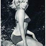 Maria Pia Conte