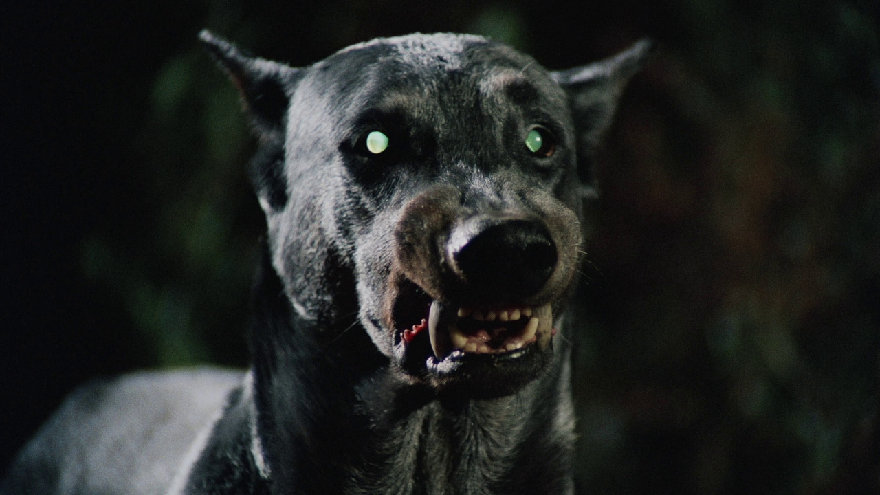 دانلود دوبله فارسی فیلم Dracula’s Dog 1977